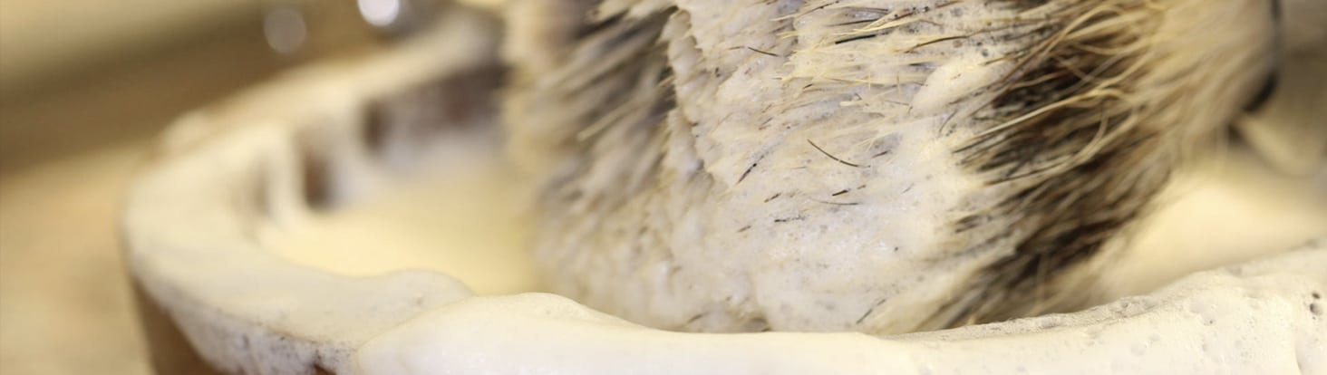 Choosing the Right Shaving Brush: A Guide to Wet Shaving