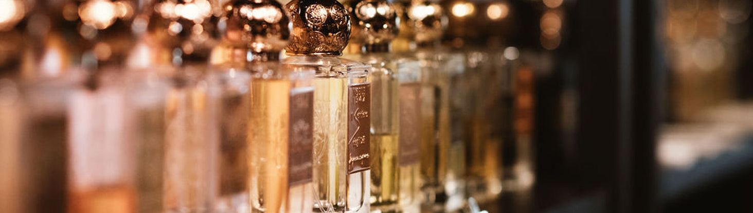 How to build a Fragrance Collection: A guide for every Fragrance Lover