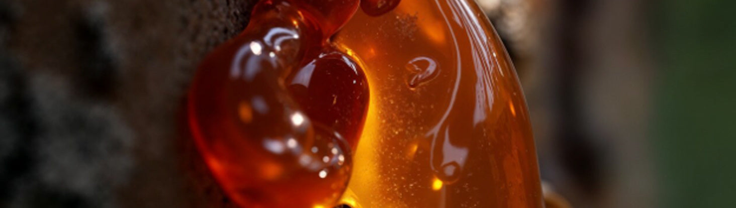 Ingredient Spotlight: OUDH