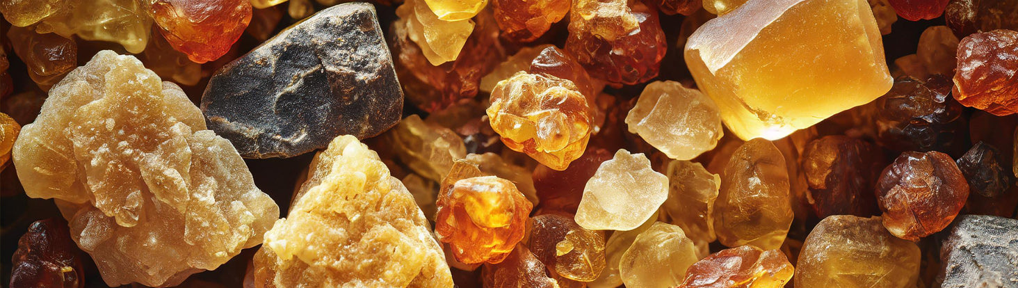 Ingredient Spotlight: RESINS