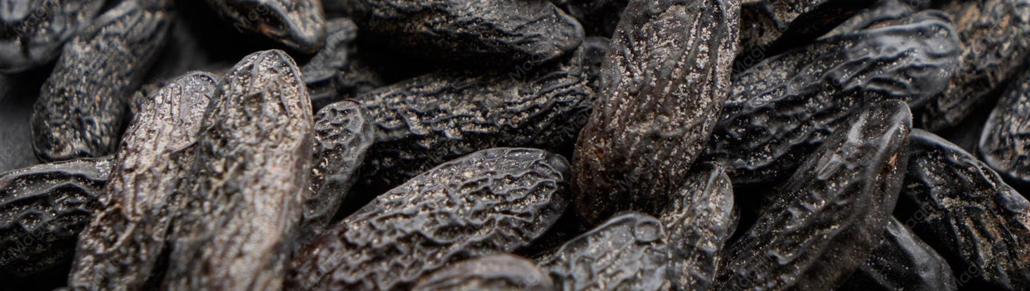 Ingredient Spotlight: TONKA BEAN