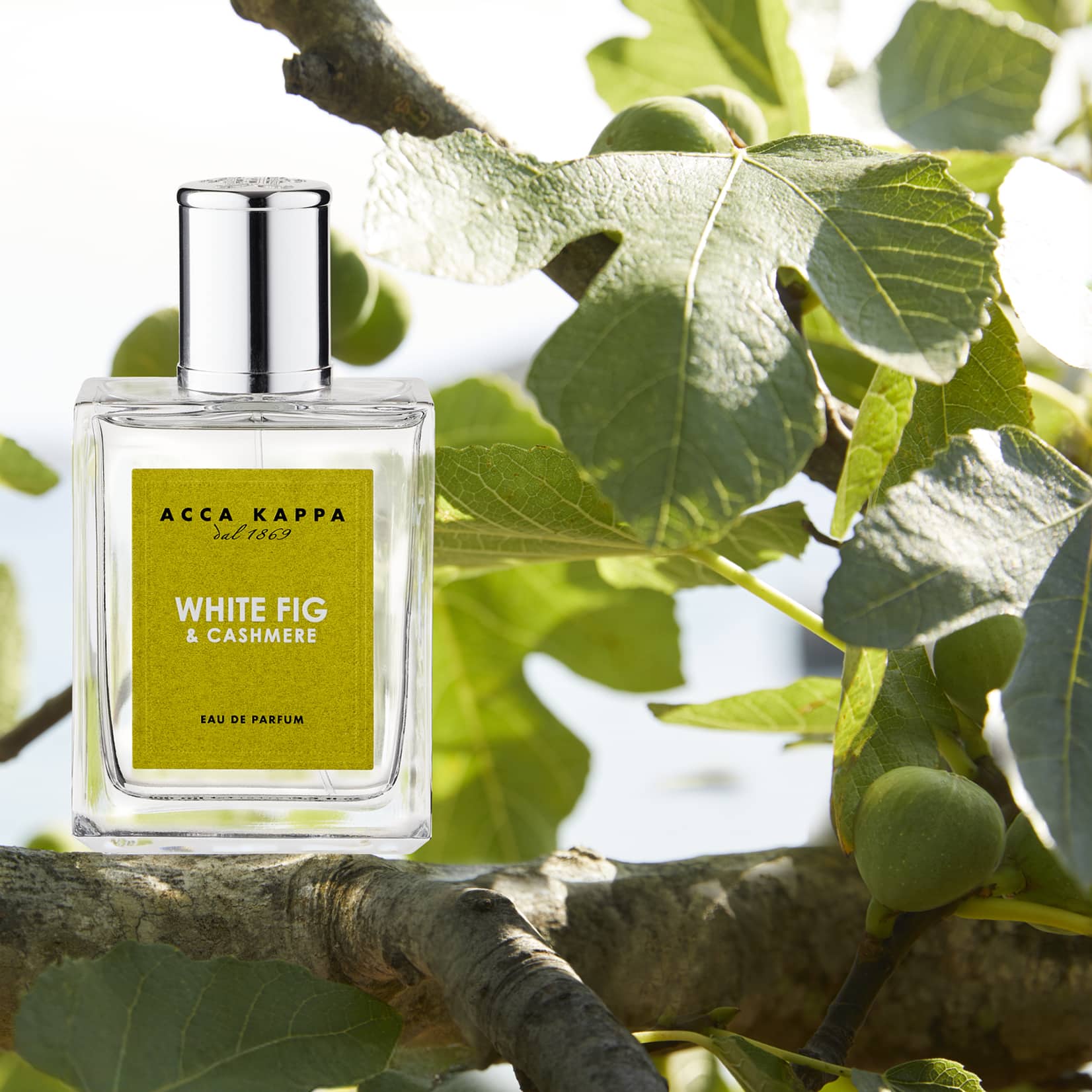ACCA KAPPA · WHITE FIG & CASHMERE 100ML