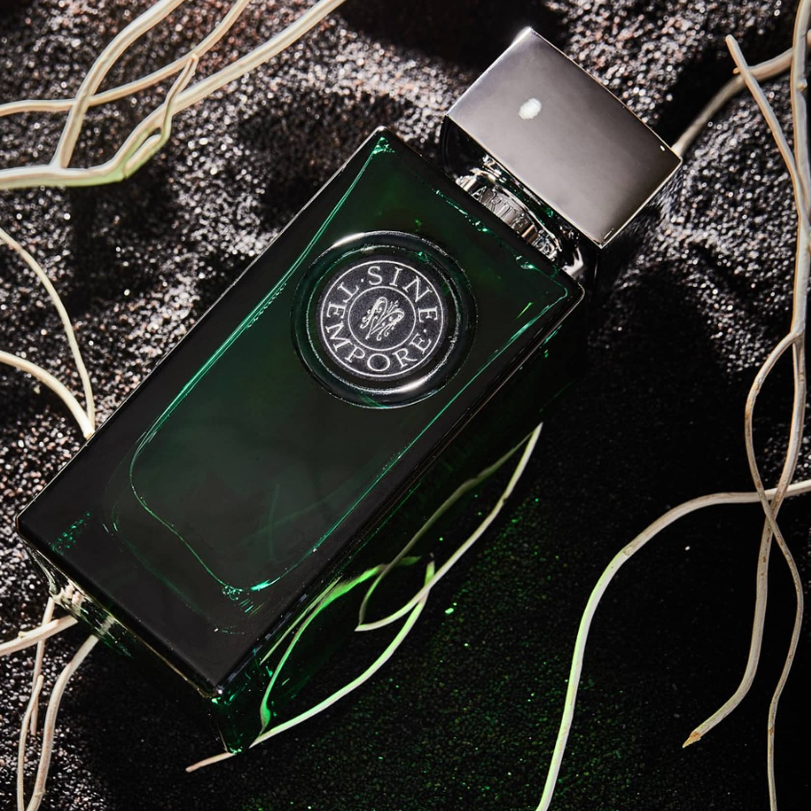 ARTE PROFUMI · SINE TEMPORE 100ML