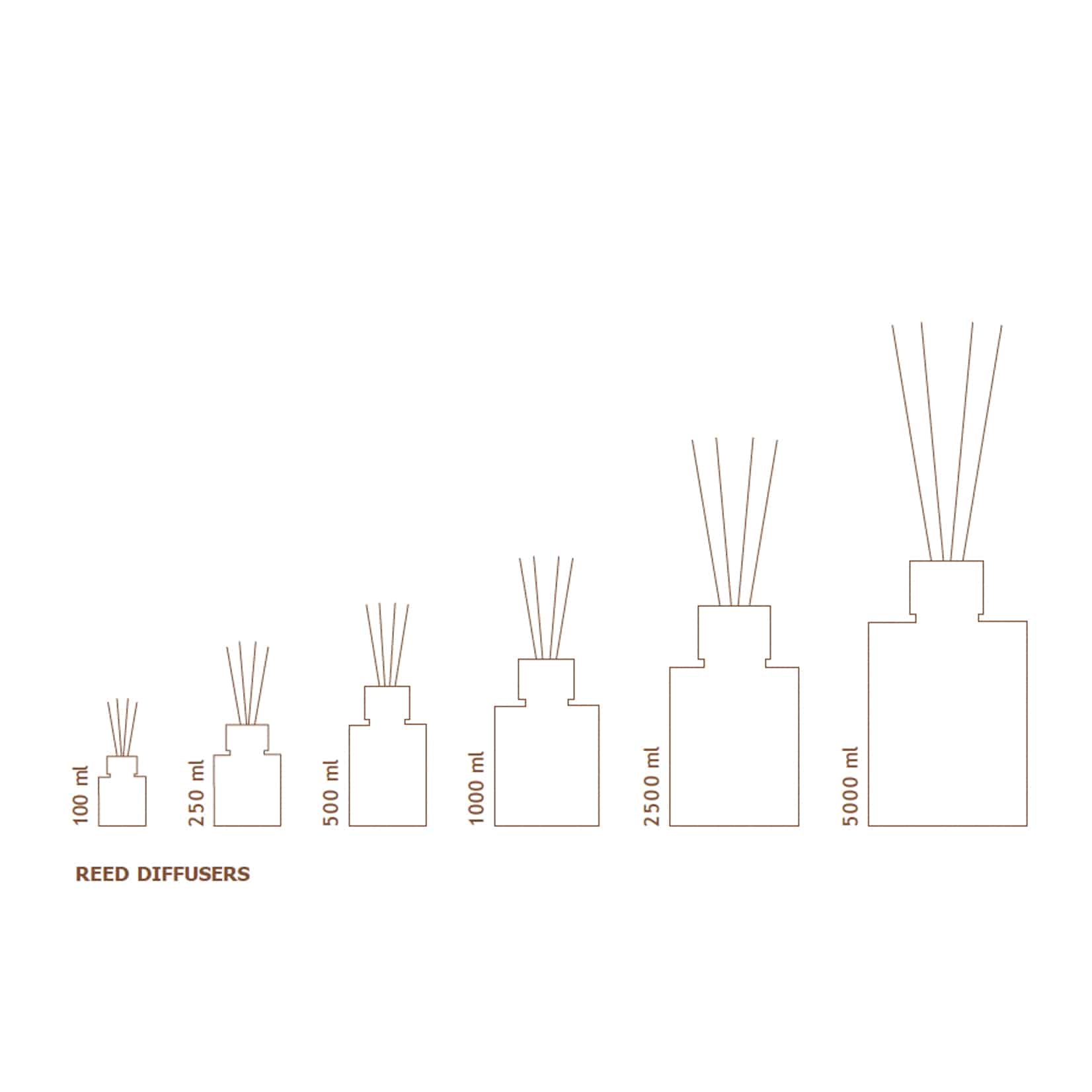 EUTHALIA · AMBRE NOIR 250ML - 5L