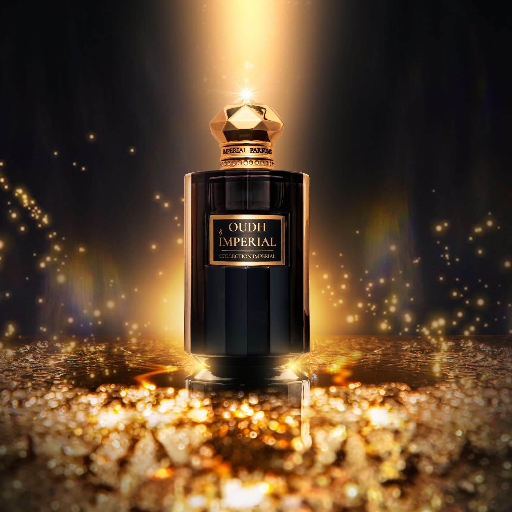 IMPERIAL PARFUMS · OUDH IMPERIAL 100ML