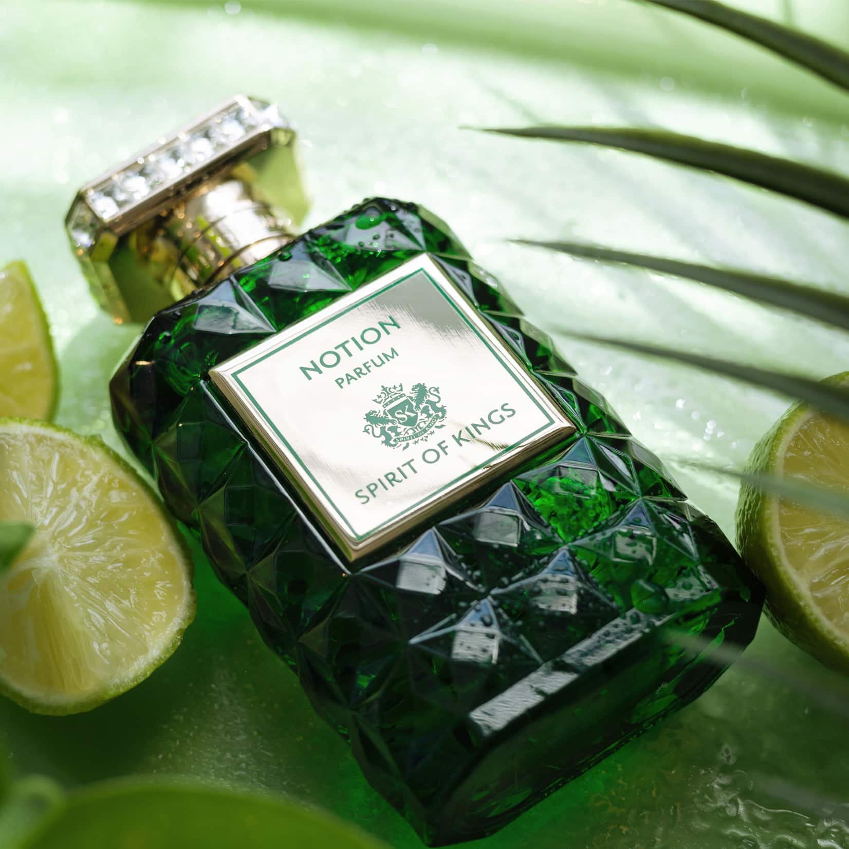 SPIRIT OF KINGS · NOTION 100ML