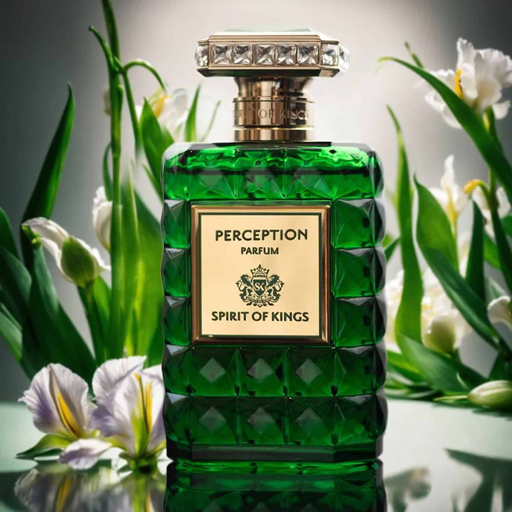 SPIRIT OF KINGS · PERCEPTION 100ML