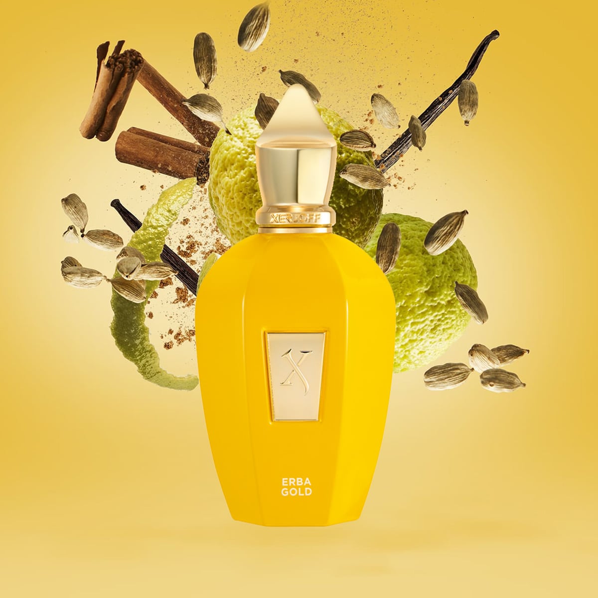 XERJOFF · ERBA GOLD EDP 50-100ML
