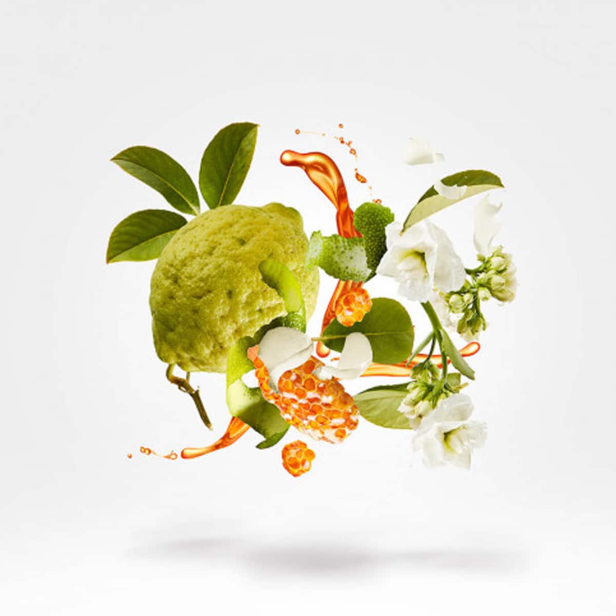 XERJOFF · NAXOS 100ML