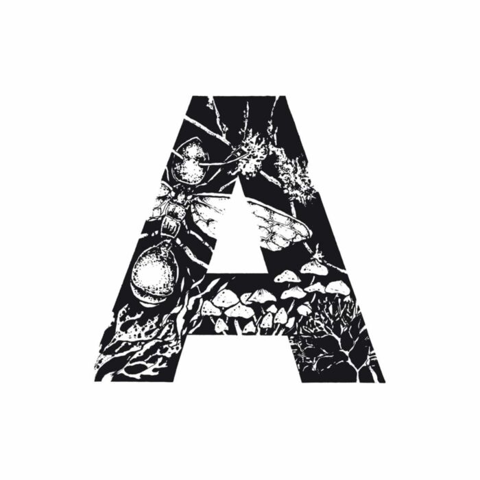 SANTI BURGAS · A - ADH <br>100ML - Afbeelding 4